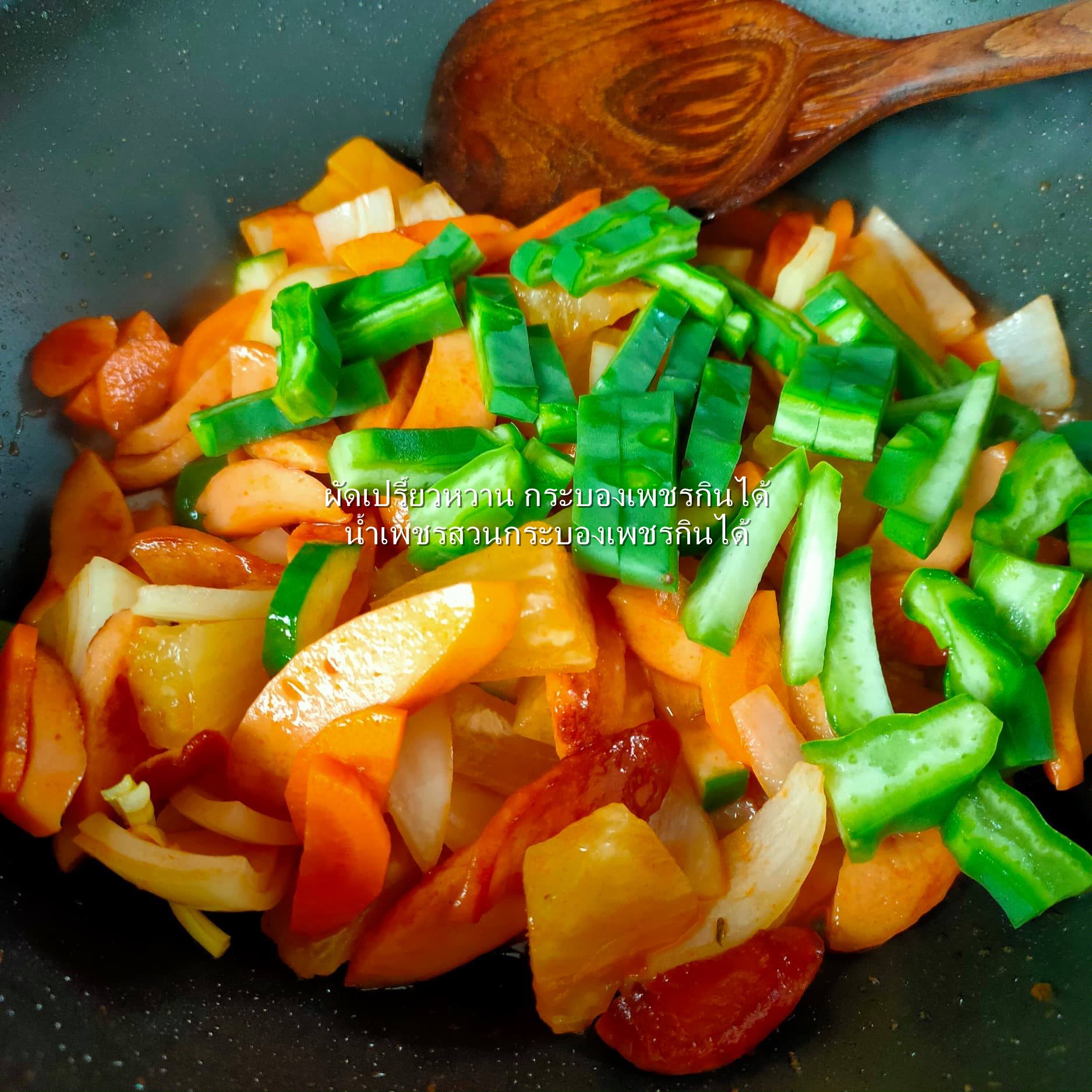 พันธุ์กระบองเพชรกินได้สายพันธุ์โอ.วุลการิส O. Vulgaris ขนาดมาตรฐาน 3 ขนาด ตัดสดทาเร่งราก