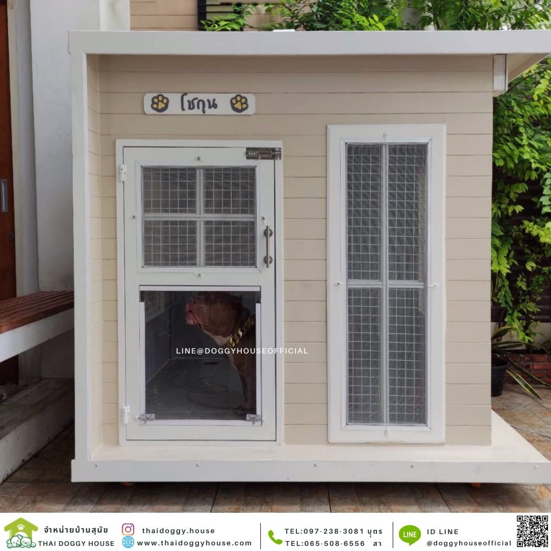 บ้านหมา รุ่นยอดฮิต