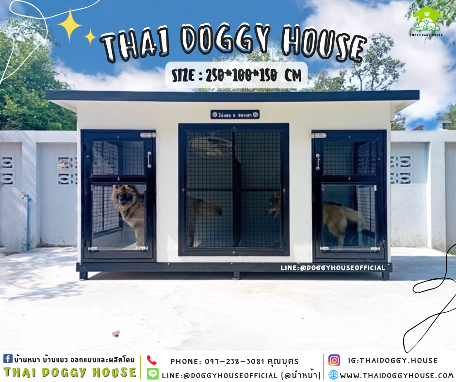 บ้านหมา แบบบ้าน 𝑩𝑶𝑿 𝑺𝑻𝒀𝑳𝑬