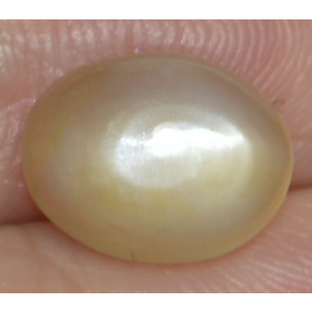 มูนสโตน (Moon Stone) 3.30 กะรัตแคทอาย