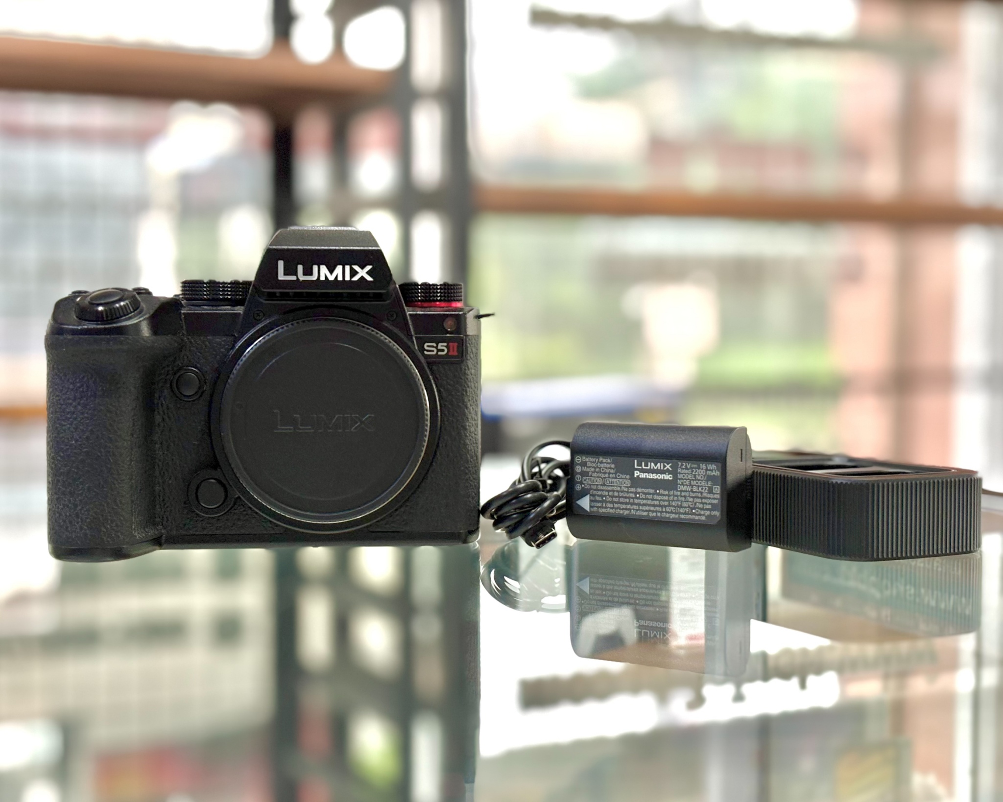 PANASONIC LUMIX S5 Mark II