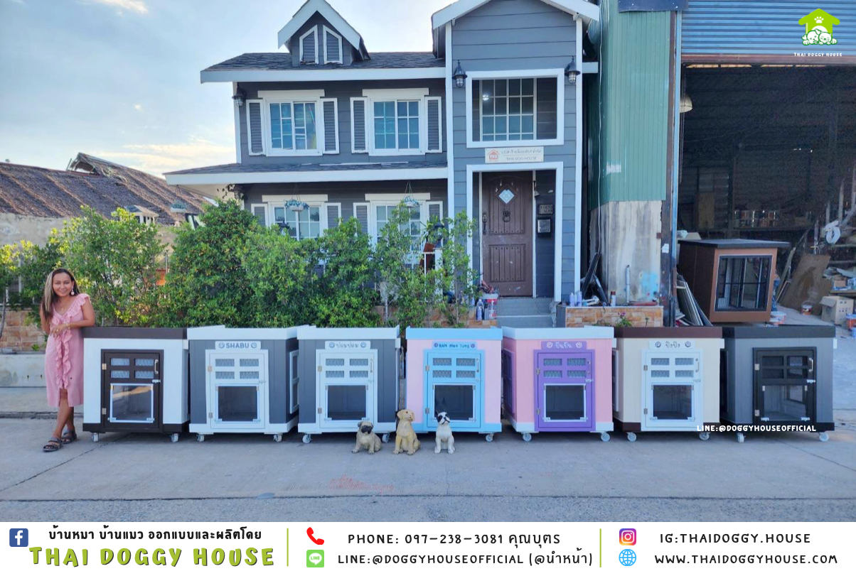 บ้านหมา ทรง 𝐁𝐎𝐗