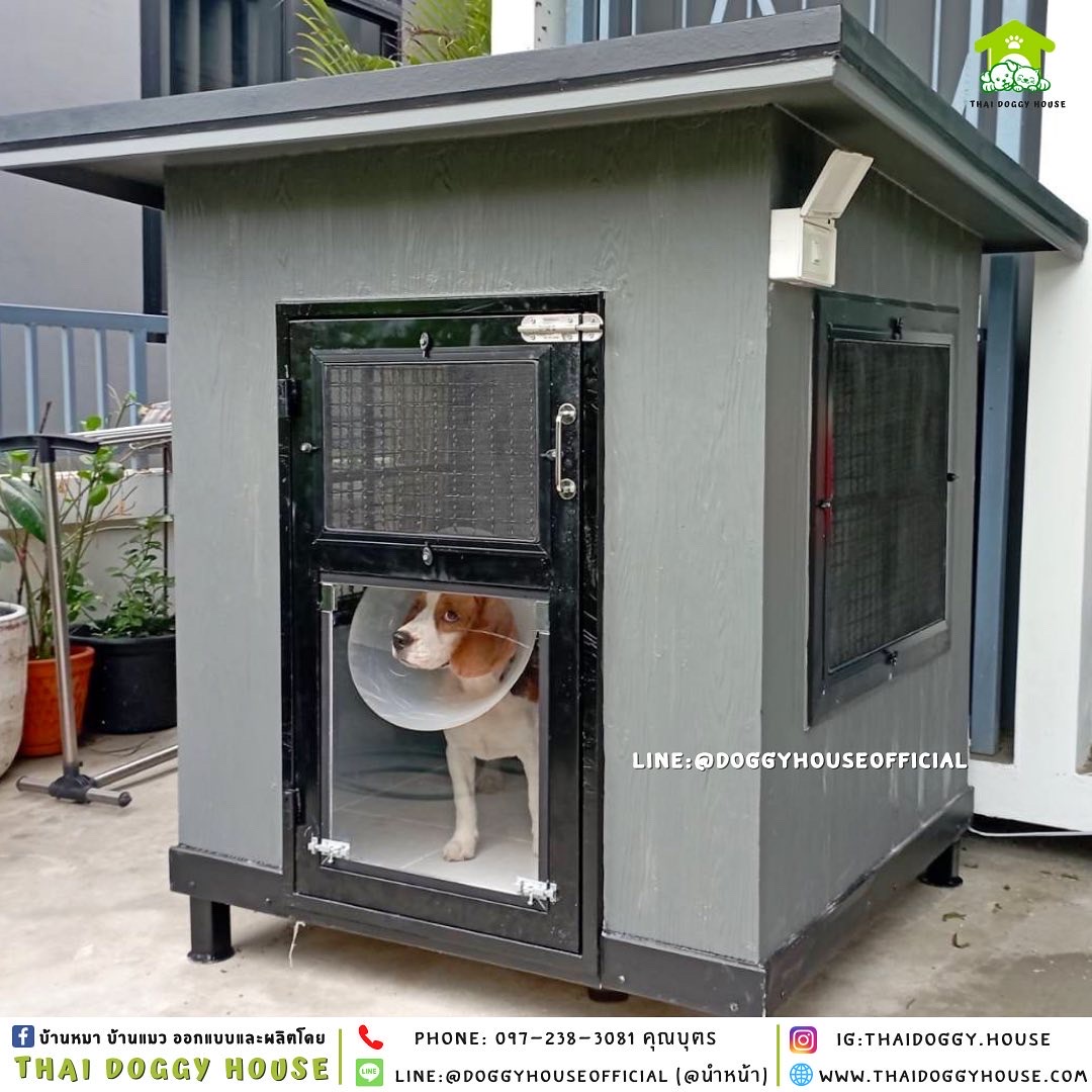 บ้านหมา แบบบ้าน 𝐕𝐢𝐧𝐭𝐚𝐠𝐞 𝐬𝐭𝐲𝐥𝐞