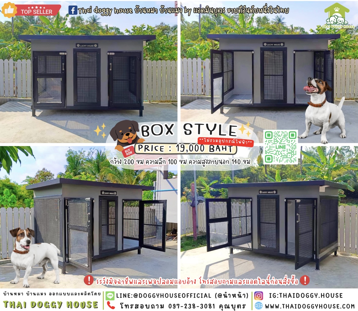 🏡บ้านหมา มี 𝟐 ประตู แบบบ้าน 𝐁𝐨𝐱 𝐒𝐭𝐲𝐥𝐞 🐩🦮
