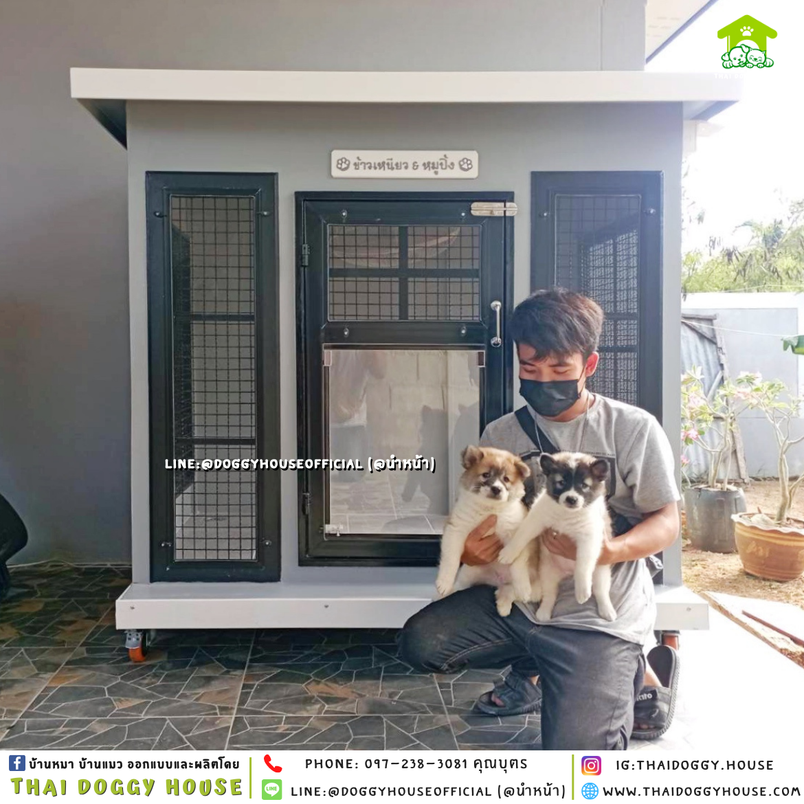 บ้านหมา ติดพัดลม แบบบ้าน 𝑩𝑶𝑿 𝑺𝑻𝒀𝑳𝑬