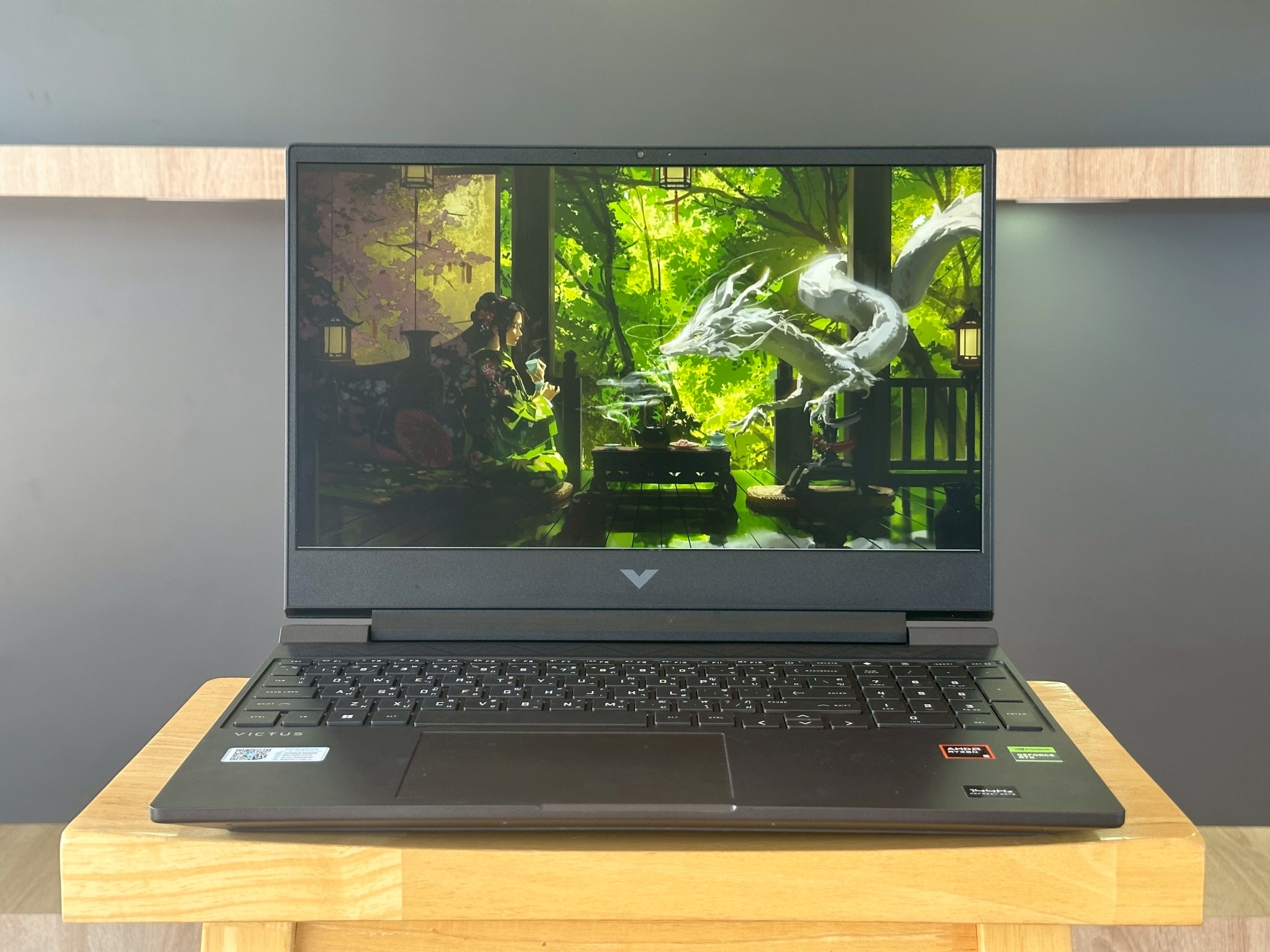 HP VICTUS 15-FB2105AX (MICA SILVER)