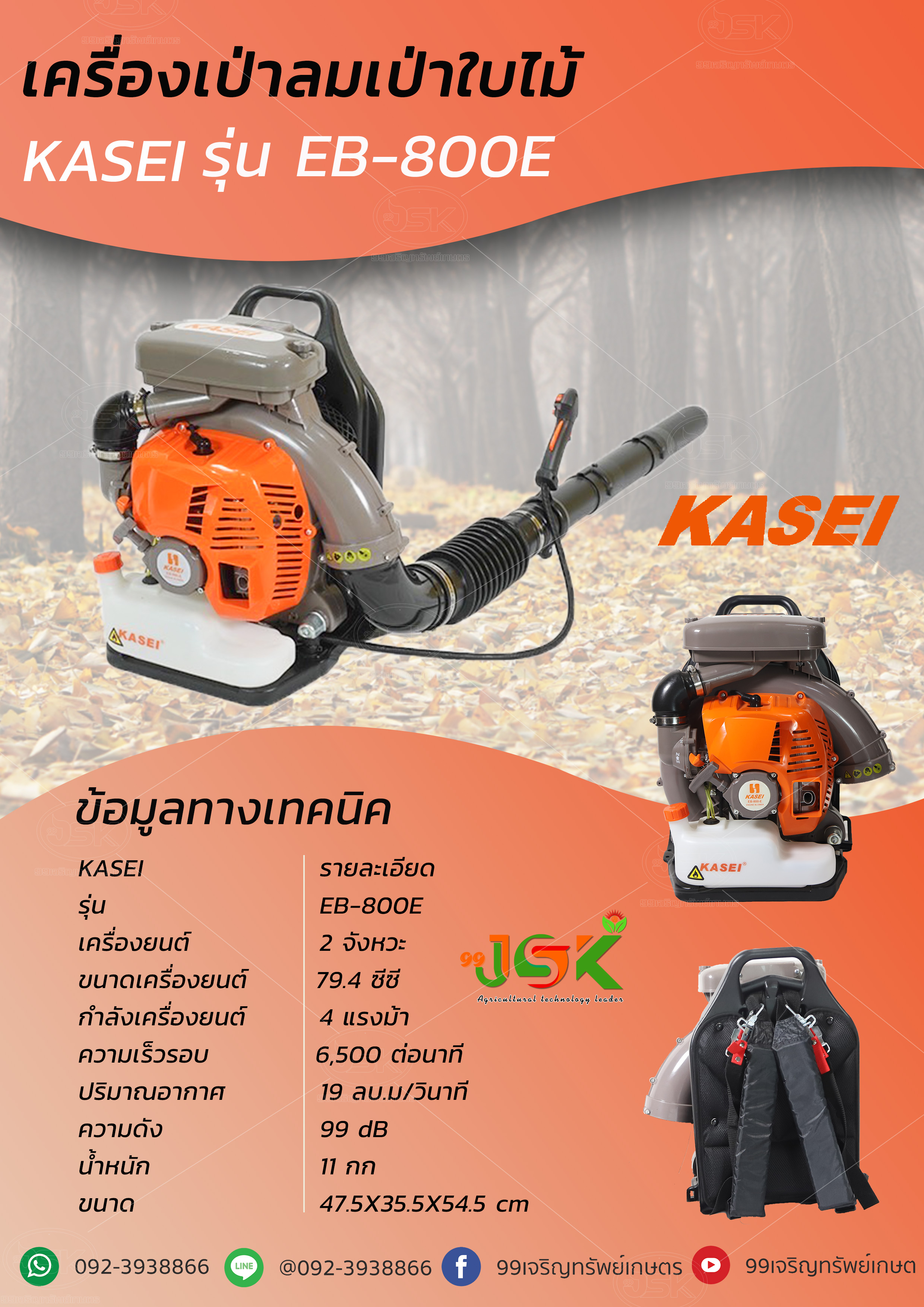 เครื่องเป่าลมเป่าใบไม้ KASEI รุ่น EB-800E
