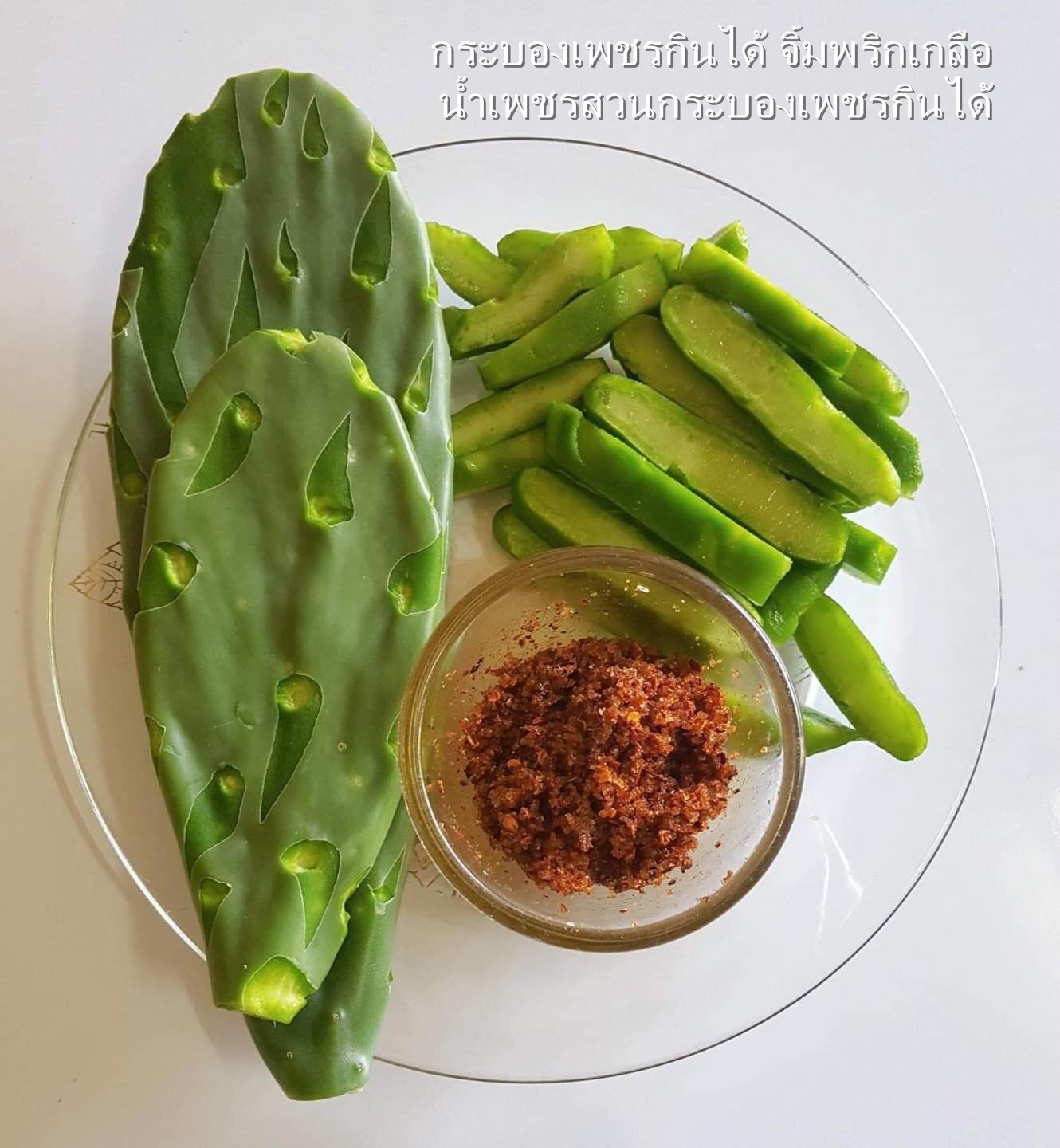 พันธุ์ "มะรุ่ง" No.1A รหัส" ID-PA-A1-5 กระบองเพชรกินได้ สายพันธุ์โอพันเทียฟิคัสอินดิก้า Opuntia Ficus Indica 5 ขนาด ตัดสดให้เลือก