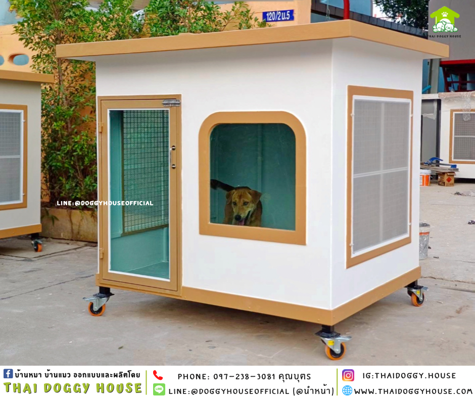 บ้านหมา แบบบ้าน 𝐁𝐎𝐗 𝐒𝐓𝐘𝐋𝐄