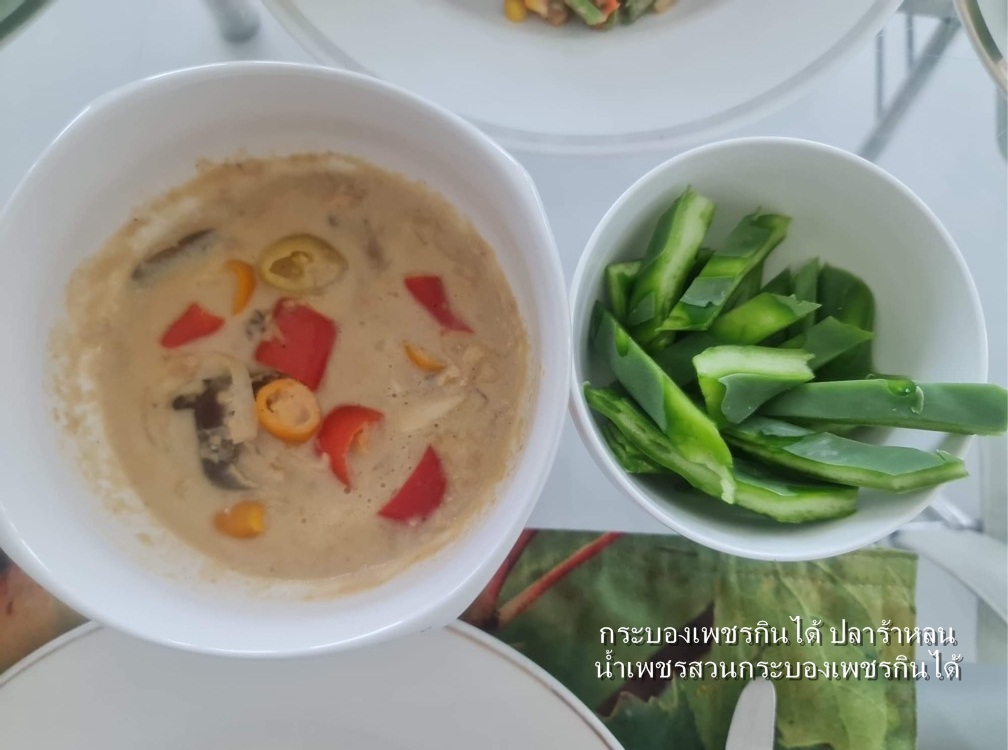 พันธุ์กระบองเพชรกินได้สายพันธุ์โอ.วุลการิส O. Vulgaris ขนาดมาตรฐาน 3 ขนาด ตัดสดทาเร่งราก