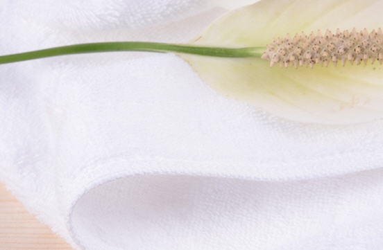 ผ้าขนหนู,ผ้าขนหนูโรงแรม,ผ้าขนหนูคุณภาพดี