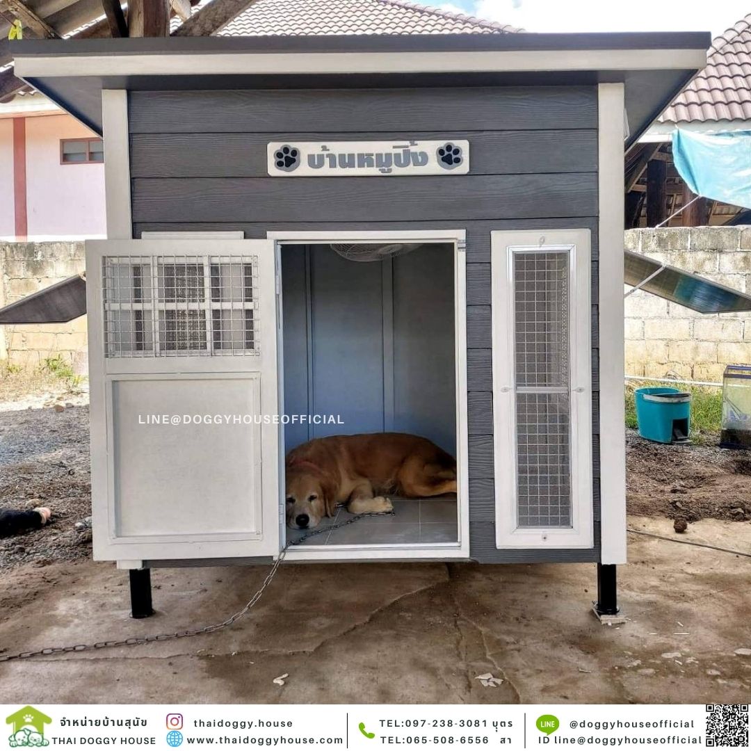 บ้านหมา