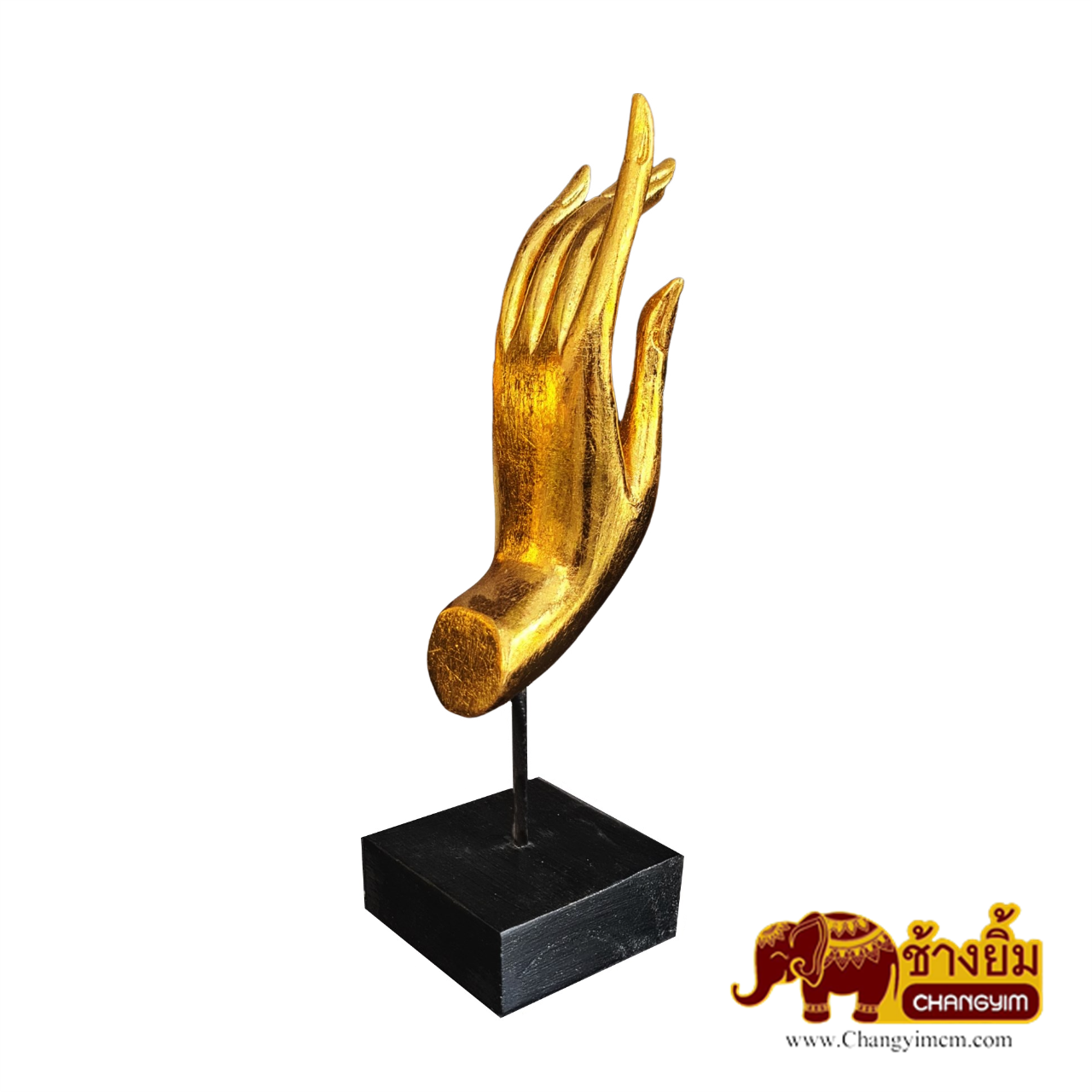 มือตั้ง ( คู่ )