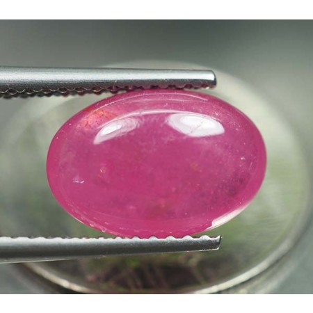 พลอยทับทิม (Ruby) 3.70 กะรัตสีชมพู