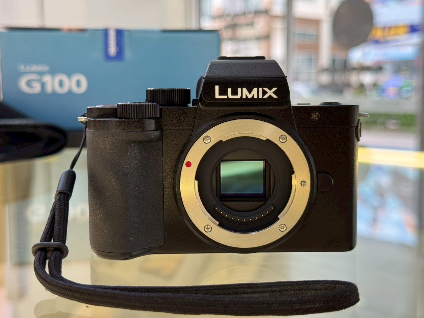Panasonic Lumix G100