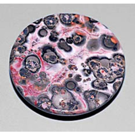 หินสีสวยงามจากธรรมชาติ (Leopard Skin Agate) 40 กะรัต