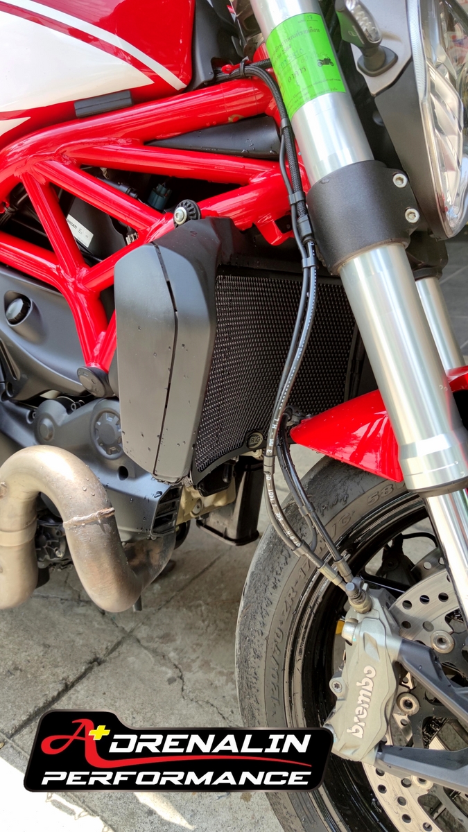 RG Racing การ์ดหม้อน้ำ (Radiator guard) สำหรับ Monster 821 2018+