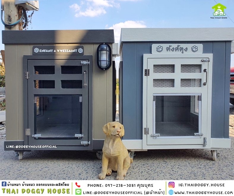 บ้านหมา ทรง BOX