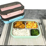 กล่องใส่ข้าว,กล่องอาหาร