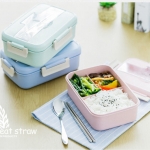 กล่องข้าวรักษ์โลก,กล่องใส่ข้าว,กล่องข้าวฟางข้าวสาลี,กล่องข้าว,ขายดี,ราคาถูก