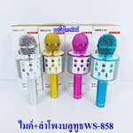 ไมค์ลอย ไมโครโฟนไร้สาย ไมค์ลอยมีบลูทูจ มีลำโพง