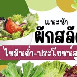 แนะนำ ผักสลัด ไขมันต่ำ ประโยชน์สูง มีอะไรบ้าง