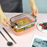 กล่องข้าว,กล่องข้าวพลาสติก