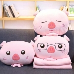 หมอนตุ๊กตา,หมอนตุ๊กตาน่ารัก,หมอนผ้าห่ม,รับผลิตหมอนตามแบบ,หมอนราคาถูก