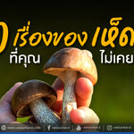 10 เรื่องของเห็ด...ที่คุณไม่เคยรู้