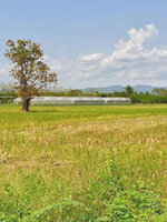 รับซื้อที่ดิน ขอนแก่น | รับขายฝากที่ดิน ขอนแก่น เช็คราคาได้ตลอดเวลา line @buyall โทร 081-9160211