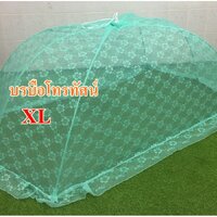 เขียวXL