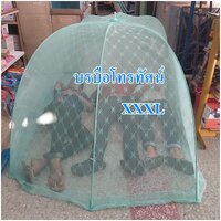 น้ำเงินXXL
