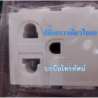 ปลั๊กกราวเดี่ยวไอออน