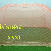 ส้มXXXL