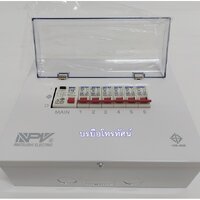 NCPI-6