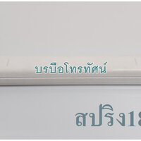 สปริง18Wฟิลลิป
