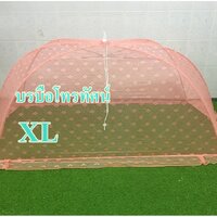 ส้มXL
