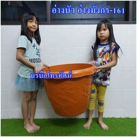 น้ำตาลอ่างบัว-161