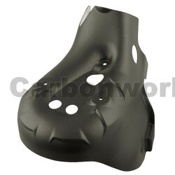 Carbon world-การ์ดท่อคาร์บอน (Heat Guards) สำหรับ Panigale 899 959 1199 1299