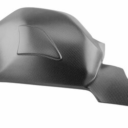 Carbonworld ครอบสวิงอาร์ม สำหรับ Panigale V4