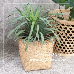 ตะกร้าต้นไม้ กระบุงทรงตรง ขนาด 10 นิ้ว