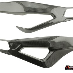 Carbon World - ครอบสวิงอาร์ม สำหรับ S1000RR 2020+