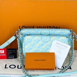 Louis vuitton Multi Pochette Summer