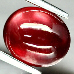 พลอยโกเมนแดง (Garnet) 3.83 กะรัต