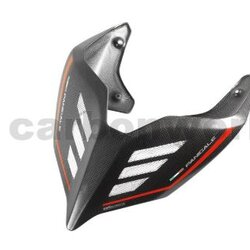 Carbonworld ท้ายคาร์บอน (Seat cover carbon) สำหรับ Panigale V4