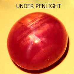 พลอยทับทิมสตาร์ (Ruby Stars) 4.90 กะรัต 6 ขา