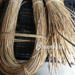 เส้นหวายแท้ขนาด 6-8 มิล (ต้นหวาย)