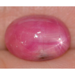 พลอยทับทิมสตาร์ (Ruby Star) 3.76 กะรัต 6 ขา