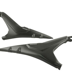 Carbonworld ครอบซับเฟรม (Tail panels) สำหรับ PanigaleV4
