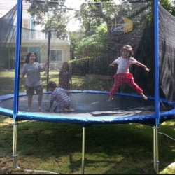 แทรมโพลีน สปริงบอร์ด 13ฟุดสีน้ำเงิน (3.96ม) 6ขา